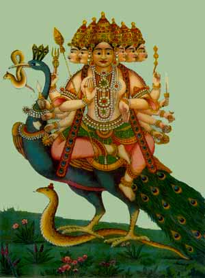 Shanmukha, the Six-Faced Lord, Whose eye of gnosis penetrated the six cardinal directions of three-dimensional space. His vehicle the peacock or phoenix signifies mastery over space, time and Death, represented by the poisonous cobra. Early 20th century painting from central India