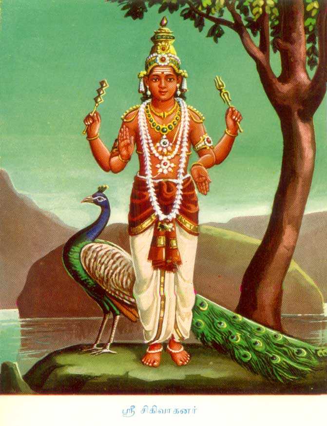 Shikhivahana, Skanda-Murugan whose vehicle is the peacock