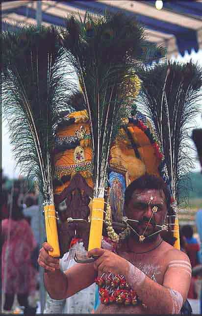 A devotee, Karpal Singh, carrying the traditional kavati on Punguni Uttiram