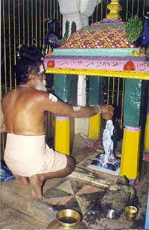 Balananda Sadhu offers milk abhisekam to Pongi