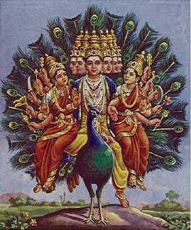 Lord Shanmukha