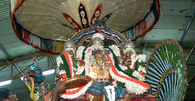 Lord Muruga on the Peacock mount on a procession during the Panguni festival at Kapaleeswara Temple, Chennai
