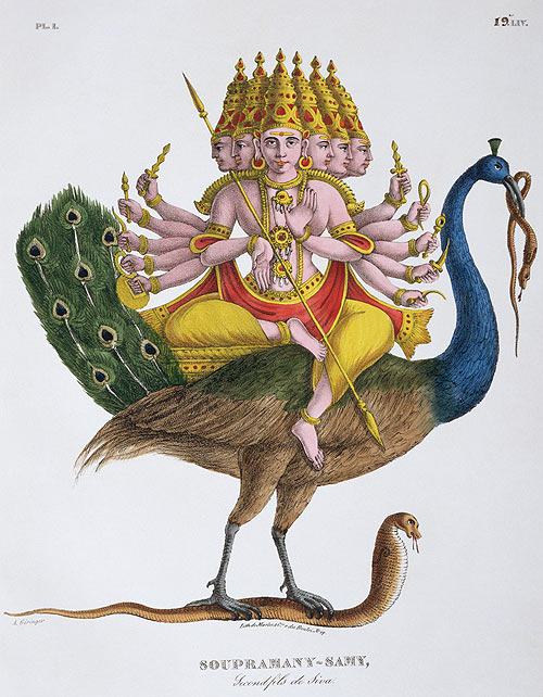 Skanda-Karttikeya the Expositor of Gnosis with His symbols the Vel Ayudha or Spear of Wisdom and vehicle/totem the Peacock = Phoenix.